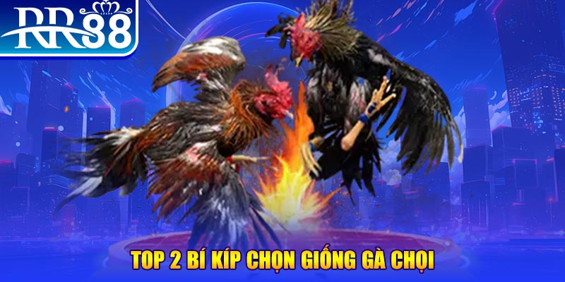 68gb đăng nhập poker số 1