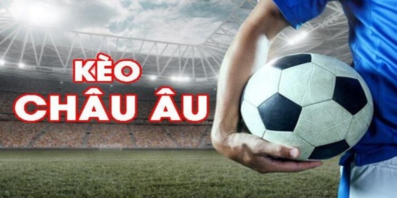 68gb đá gà trực tiếp casino