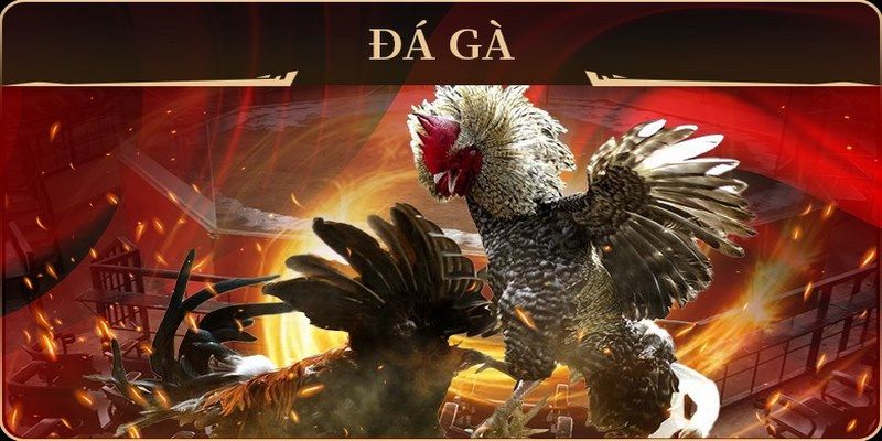 68gb no hu doi thuong ai