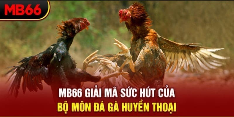 68gb Phi Đội Ưu Tú