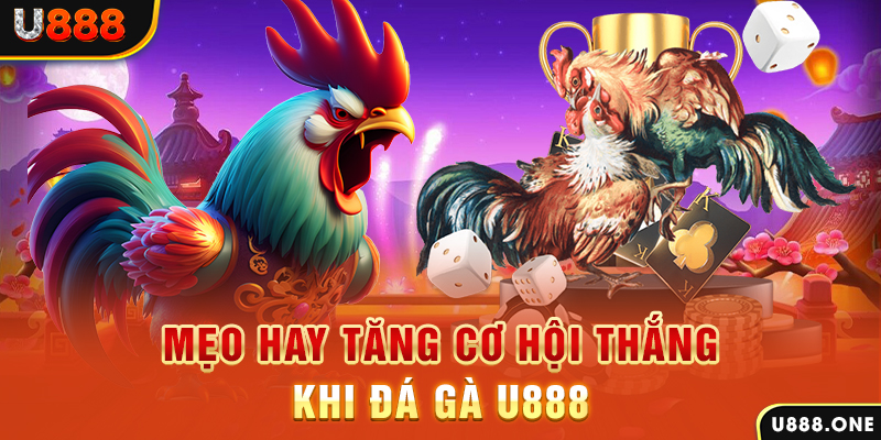 68gb trực tiếp gà chọi c1