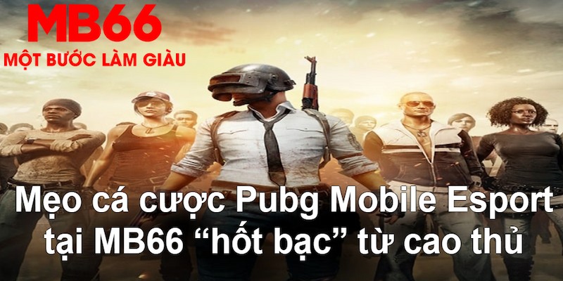 68gb gà chọi mộc hóa
